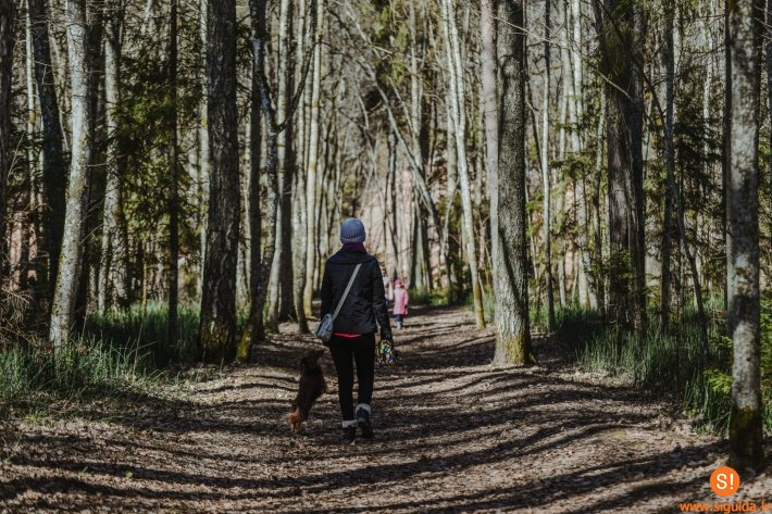 Pārgājienā varēs iepazīt Gaujas Nacionālā parka ielejas un gravas