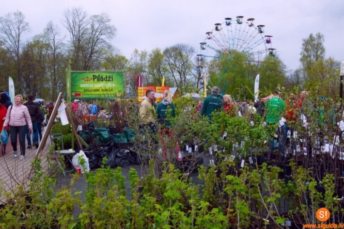 Latvijas Stādu parāde pārcelta uz 2021. gadu