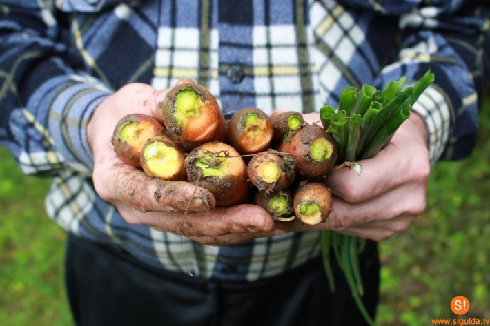 Biedrība „Cerību spārni” piedalās projektā „Pats savam saimes galdam”