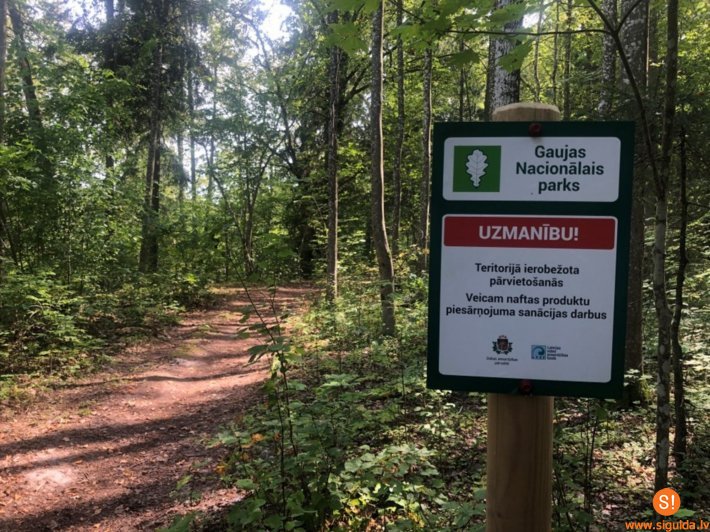 Vējupītes krastus Gaujas Nacionālajā parkā attīra no naftas produktu piesārņojuma