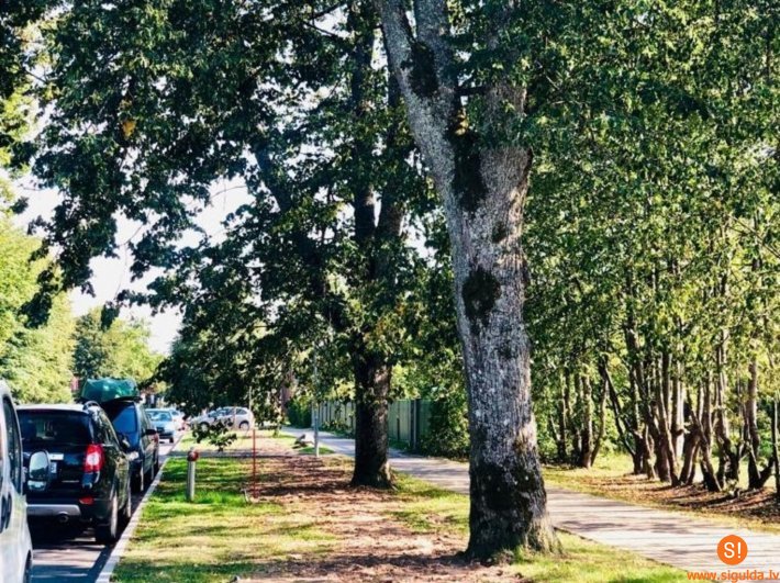 Pašvaldība ir vienojusies ar AS „Sadales tīkls” par radīto zaudējumu kompensāciju Leona Paegles ielā 17