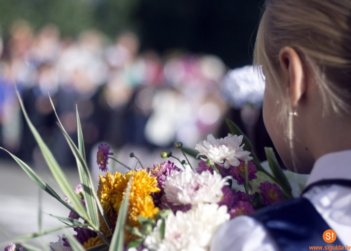 Novada pedagogi tiekas Zinību dienai veltītā konferencē