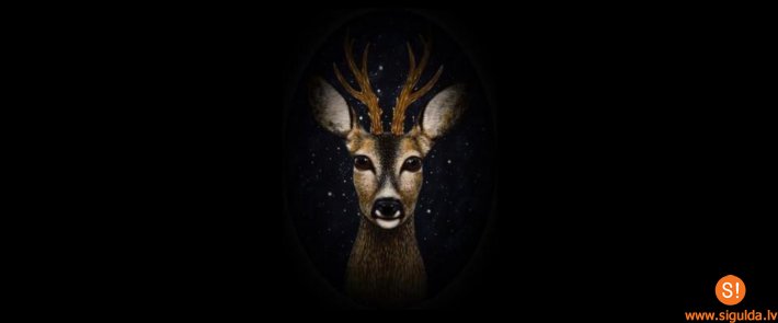 “Baltajā flīģelī” notiks koncerts pirmsskolas bērniem “Kas dzīvo mežā”