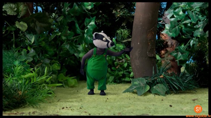 Novada bibliotēkā bērnus iepazīstinās ar jaunām animācijas filmām par dabu