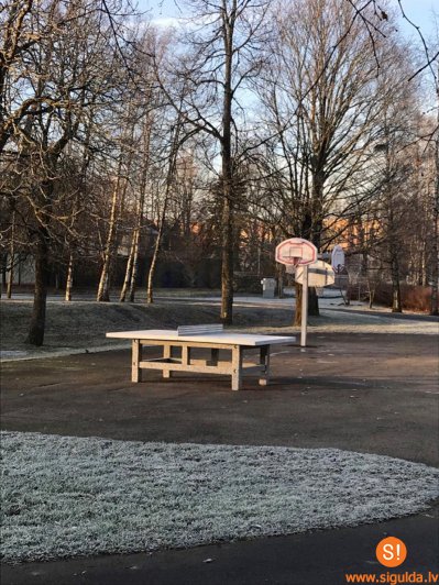 Raiņa parkā uzstādīts tenisa galds