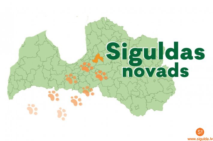 Siguldas novads atzīts par suņiem draudzīgāko novadu 2019. gadā