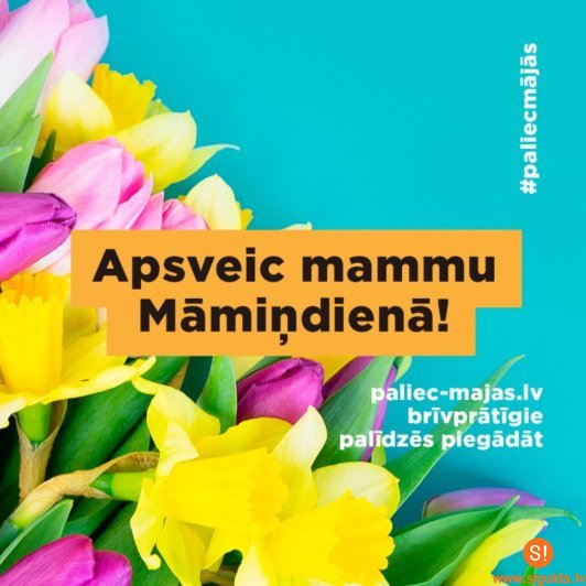 Piedāvā nosūtīt ziedus Māmiņdienā ar #paliecmājās brīvprātīgo kustības atbalstu