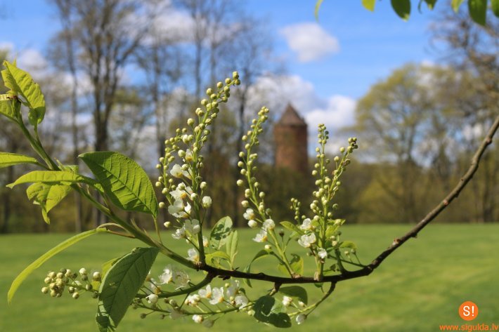 Turaidas muzejrezervāts atver apmeklētājiem brīvdabas ekspozīcijas