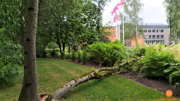 Negaisa laikā iedzīvotājus aicina uzmanīties no lūstošiem kokiem