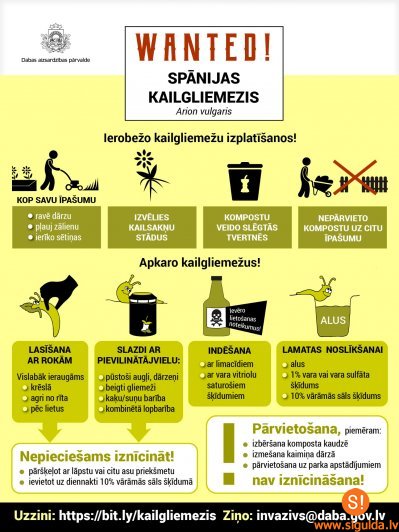Spānijas kailgliemeža apkarošanā aicināti iesaistīties visi teritoriju īpašnieki