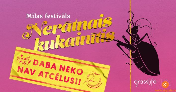 Latvijas Dabas fonds aicina iepazīt kukaiņu dzīvi pļavā