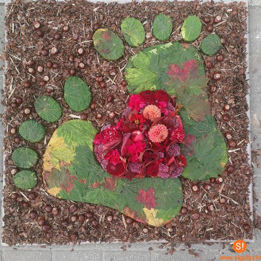 Siguldas 1. pamatskolā noslēdzies konkurss “Dabas paklājs”