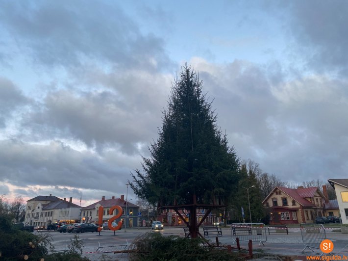Siguldas stacijas laukumā tiek uzstādīta Ziemassvētku egle