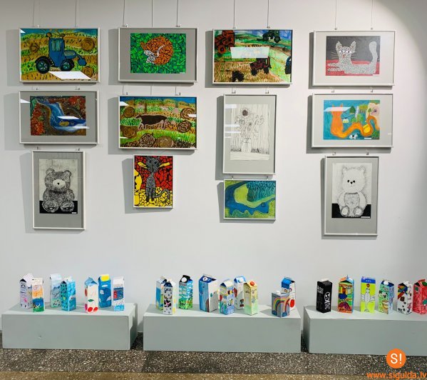 Novada bibliotēkā varēs apskatīt “Baltā flīģeļa” audzēkņu darbu izstādi