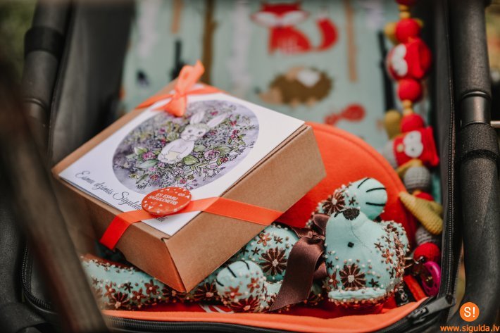 Līdz 31. janvārim turpinās reģistrēšanās jaundzimušo godināšanas pasākumam “Esmu dzimis Siguldas novadā”