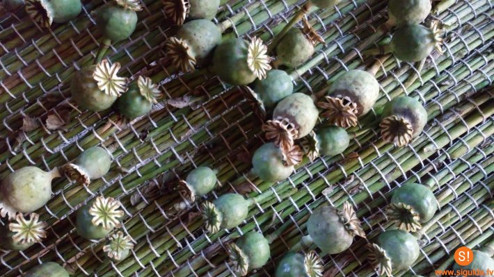 Aicina uz semināru projekta “Latvju raksti. Citādība” ietvaros