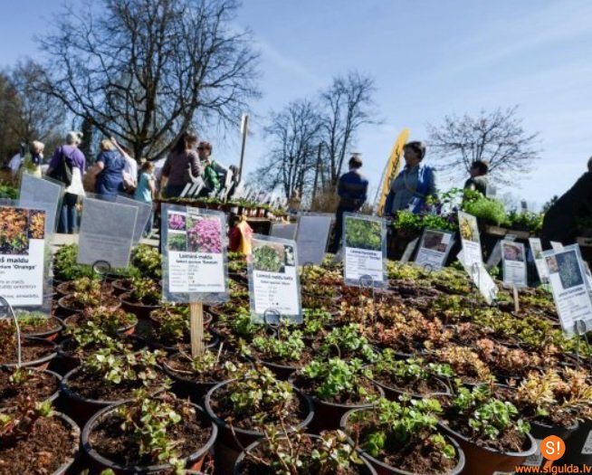 5. un 6. jūnijā Siguldas pils kvartālā un tā apkārtnē norisināsies stādu tirgus