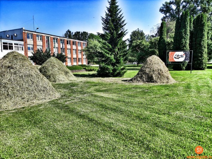 3. jūlijā Siguldas pagastā tiks atzīmēti Apkaimes svētki