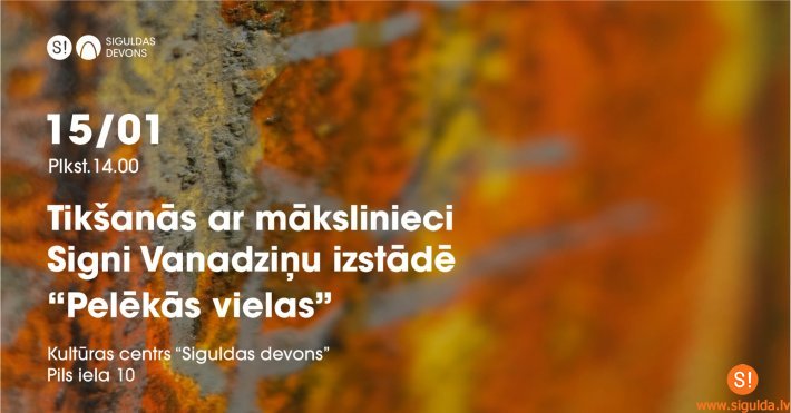 Notiks tikšanās ar izstādes “Pelēkās vielas” mākslinieci Signi Vanadziņu