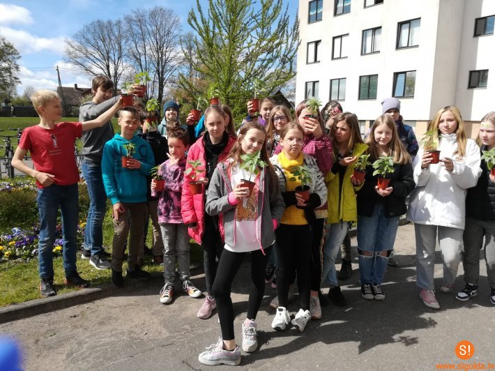 Novada jaunieši piedalās saulespuķu sēšanas akcijā