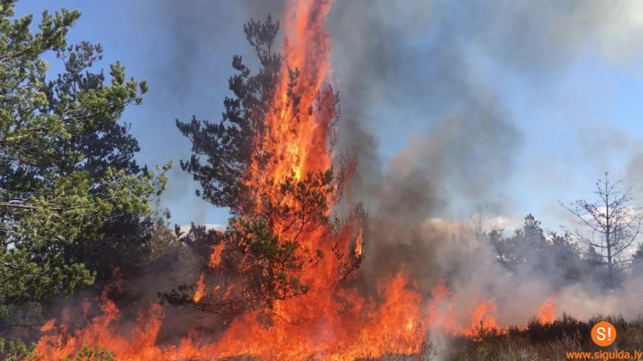 Aicinām ievērot īpašu ugunsdrošību apkārtnes mežos