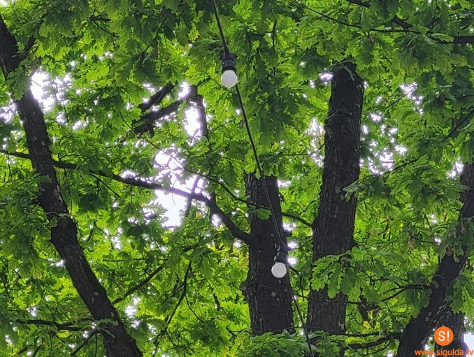 Krimuldas un Lēdurgas pagastā tiks pārbūvēts ielu apgaismojums