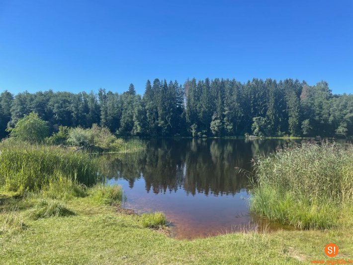 Uzsāks Roķēnu ūdenskrātuves atpūtas zonas labiekārtošanas projekta izstrādi