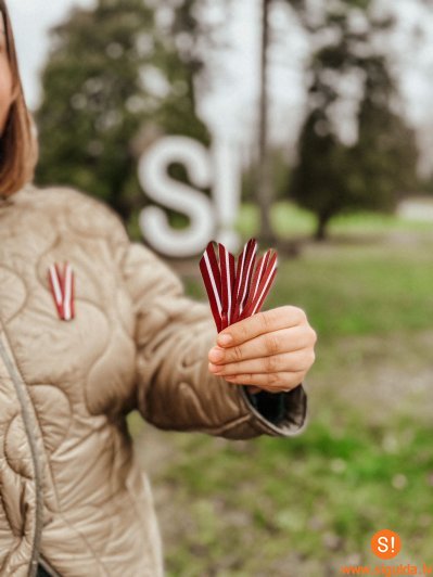 7. un 9. novembrī piedalies radošajās darbnīcās Valsts svētku rotu gatavošanā