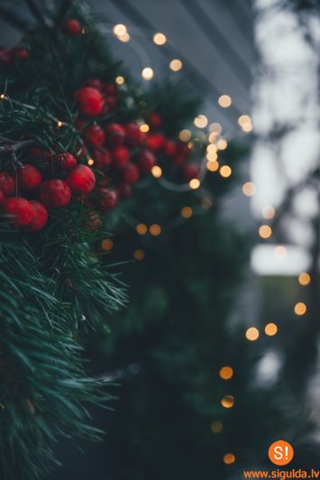 Mālpils pagasts gatavojas Ziemassvētkiem