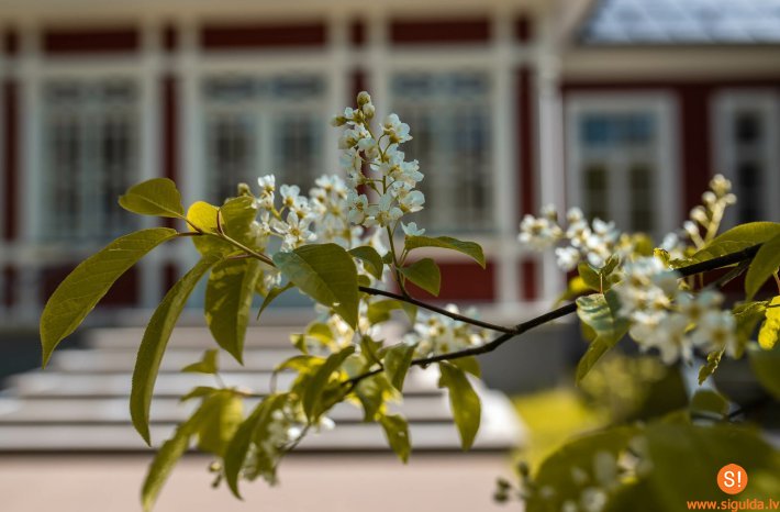 Siguldas novada pašvaldības administrācijas darba laiks valsts svētkos