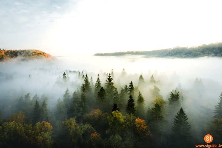 Pašvaldība jau vairākus gadus iesaistās projektā “Meža dienas”