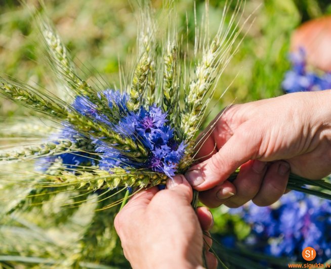 Siguldas novada pašvaldības darba laiks Līgo svētkos un Jāņos