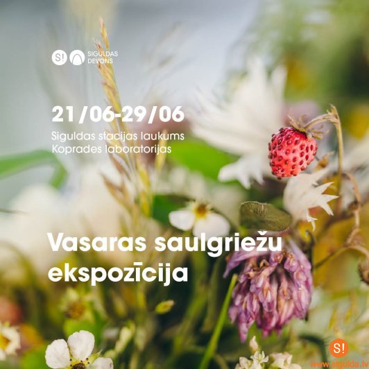 Ekspozīcija koprades laboratorijās aicina iepīt jāņuzāles lielajā Saules aplī