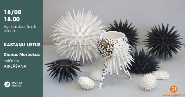 Piektdien notiks Diānas Mežeckas izstādes “Kastaņu lietus” atklāšana