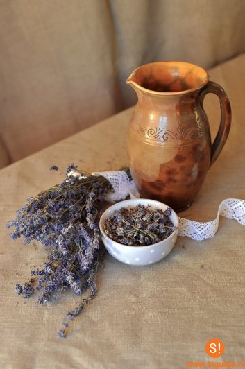 Turpinās biedrības “Kultūra. Vide. Sabiedrība” projekta nodarbības