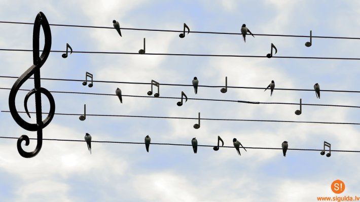 Siguldas pagastā daudzveidīgs amatiermākslas un interešu izglītības piedāvājums