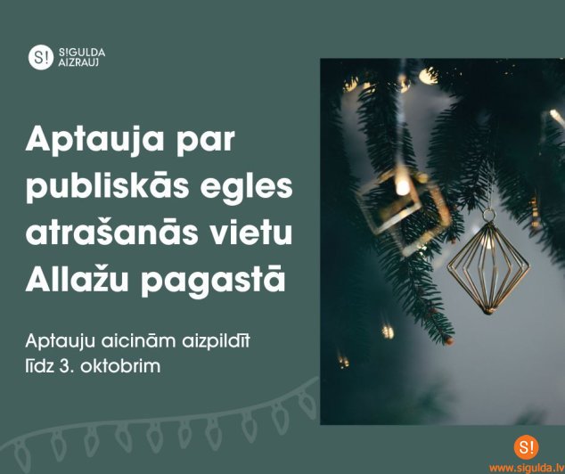 Aptauja par publiskās egles atrašanās vietu Allažu pagastā