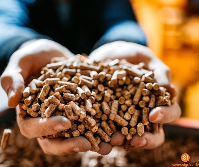 Iespējams atbalsts granulu apkures katlu uzstādīšanai mājsaimniecībās