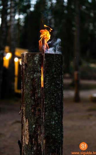 Lēdurgas dendroparkā izgaismos takas un celiņus