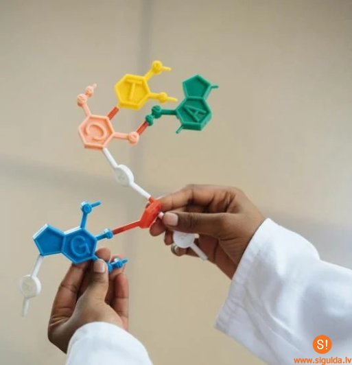 Novada skolēni piedalās fizikas, ķīmijas un ekonomikas olimpiādē