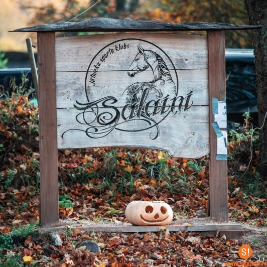 Mores pagastā notiks jāšanas sporta sacensības “Salaiņu Rudens kauss 2024”​