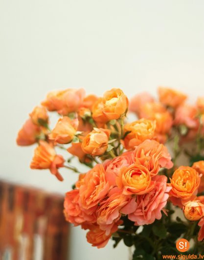 Var pieteikt nominantus konkursam “Gada balva cilvēku ar invaliditāti atbalstam 2024”