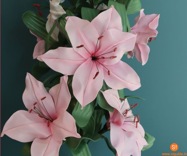 Siguldā apskatāma Ilzes Gurtlavas izstāde