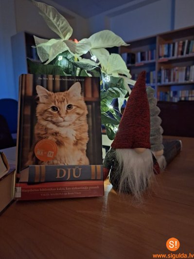 Lasītāju klubs “1000 un viena lapaspuse” septembrī atzīmēs savu pirmo gada dienu