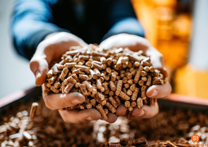 Izsludināts iepirkums kokskaidu granulu piegādei pašvaldības iestādēm