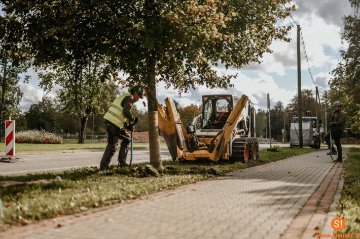 Ausekļa un Raiņa ielas pārbūves laikā gādāts par koku saglabāšanu