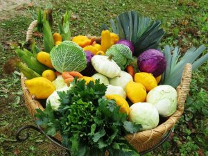 Līdz oktobra beigām Siguldā bez maksas var nodot bojātos augļus un dārzeņus
