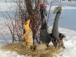Putnu dzīve ziemā un „Zeķu putnu teātris” Jūdažu Sabiedriskajā centrā