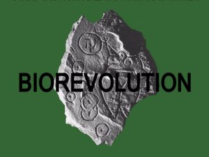 Tiks atklāta Starptautiskās Dizaina vasaras skolas MAD izstāde „Biorevolution”