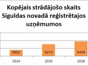 Pieaudzis darba vietu skaits Siguldas novada uzņēmumos